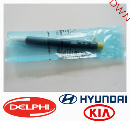   Common Rail Injector  EJBR02801D  33800-4X500  For Hyundai  KIA engine