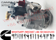 3075537 Cummins K38 K50 Diesel Engine Fuel Pump 3262033 3636943