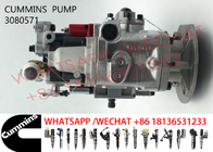 3080571 Cummins KTA19-C600 Diesel Engine Fuel Pump 3655884 4913582 3076130